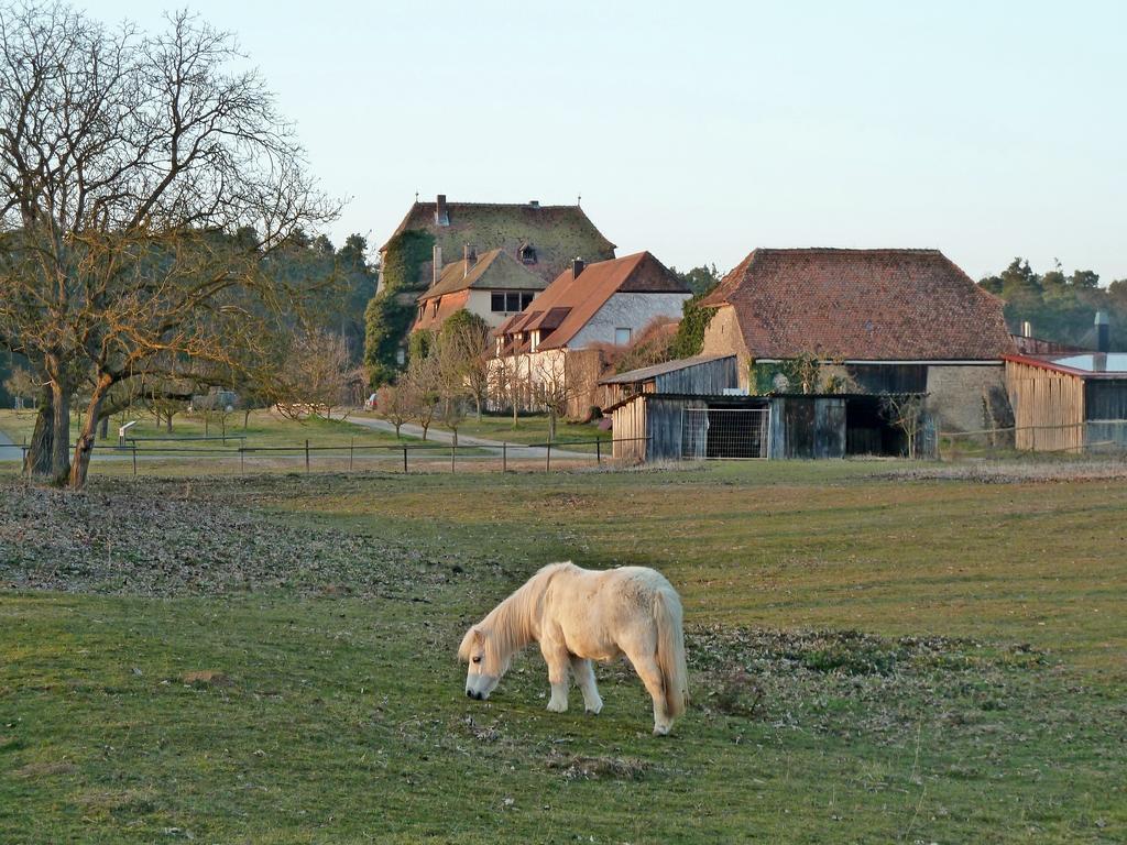 Elgersheimer Hof フォルカッハ エクステリア 写真